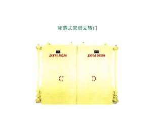 海南降落式双扇立转门